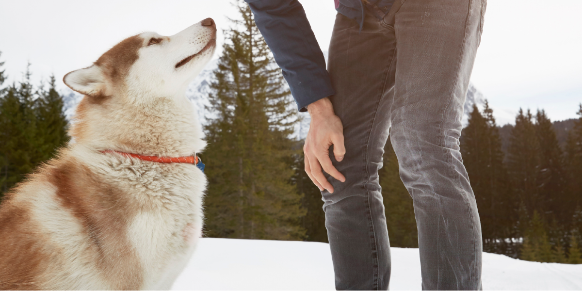 cómo puedo mantener limpio a mi perro en invierno