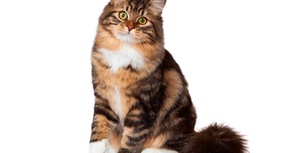 Purina cat breed deals