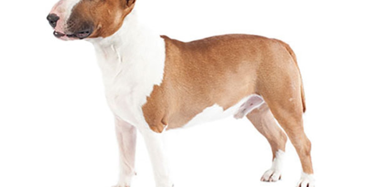 una raza de perro saludable