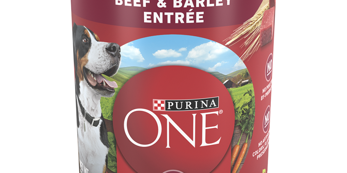 Purina ONE Beef Barley Tender Cuts in Gravy Wet Dog Food Purina US