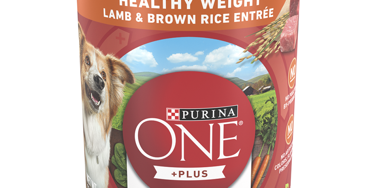 Purina ONE Plus Healthy Weight Lamb Rice Wet Dog Food Purina US
