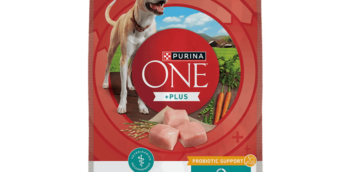 Purina digestive dog food new arrivals