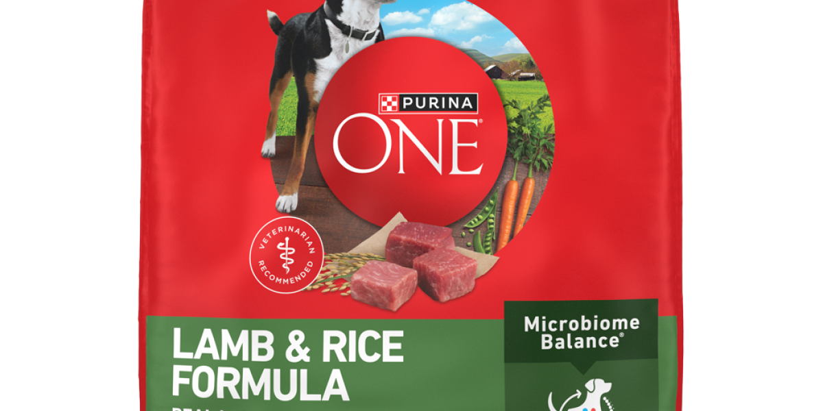 Purina ONE Lamb & Rice Dry Dog Food | Purina US