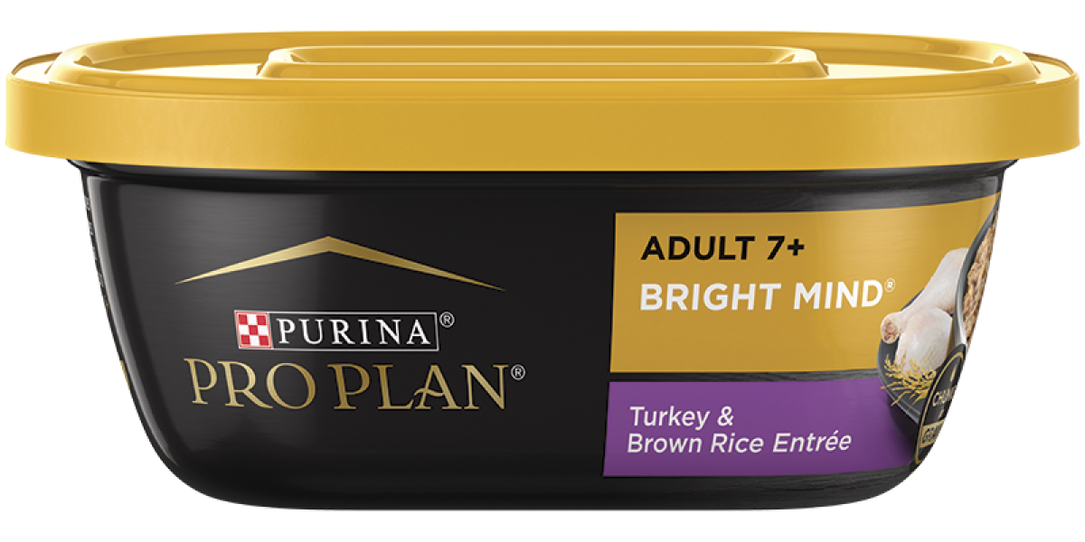 Pro plan bright mind reviews outlet