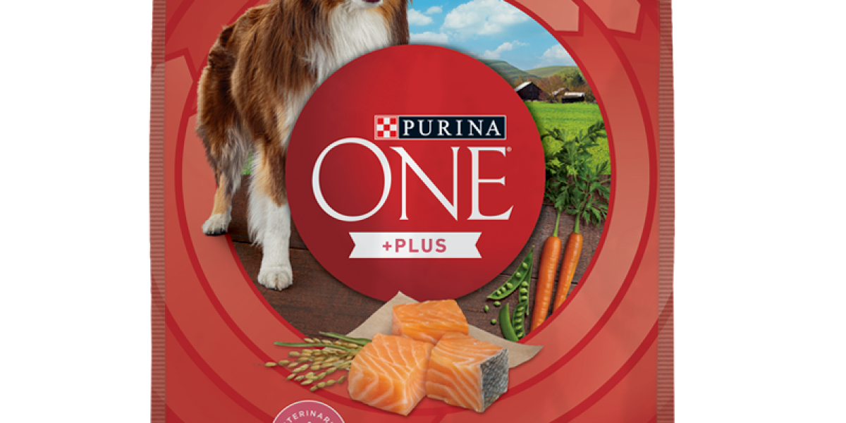 Purina ONE Plus Skin Coat Dry Dog Food Purina