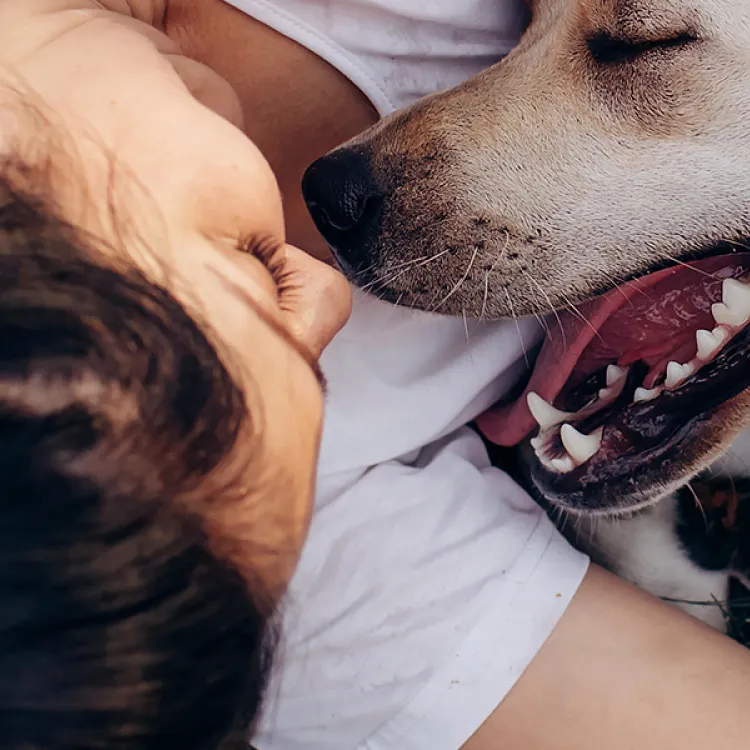A woman lays in the grass snuggling with a yellow labrador 