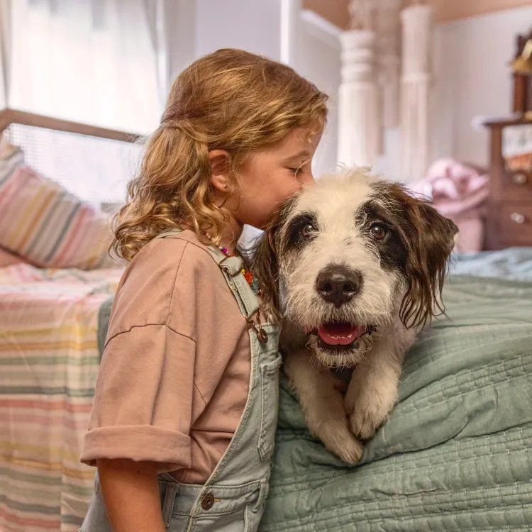 A black-and-white rescue dog relaxes on a bed while a child leans close beside it.